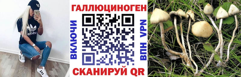 Псилоцибиновые грибы ЛСД  Кисловодск 