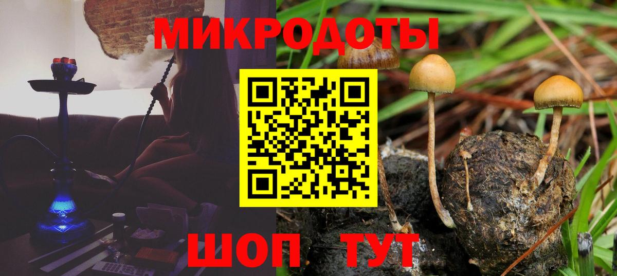 Галлюциногенные грибы Psilocybine cubensis  Галлюциногенные грибы Psilocybine cubensis  Вход с VPN  Кисловодск 