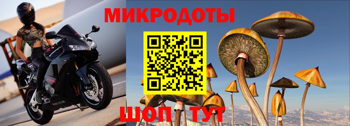 Галлюциногенные грибы MAGIC MUSHROOMS Кисловодск