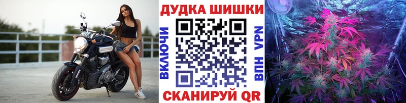 МАРИХУАНА SATIVA & INDICA  это какой сайт  Кисловодск 